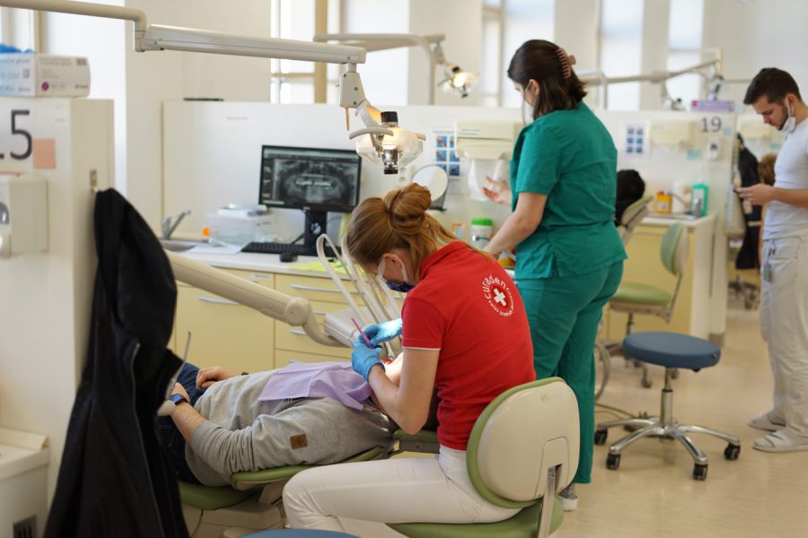 Výuka mladých stomatologů: praktická profesní příprava i péče o pacienty zároveň