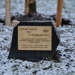 Výsadba jasanu v Kateřinské zahradě připomněla 20 let Sdružení pacientů s plicní hypertenzí