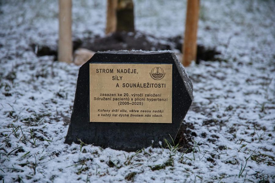 Výsadba jasanu v Kateřinské zahradě připomněla 20 let Sdružení pacientů s plicní hypertenzí