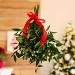 TIS VFN zažil rekordní rok!