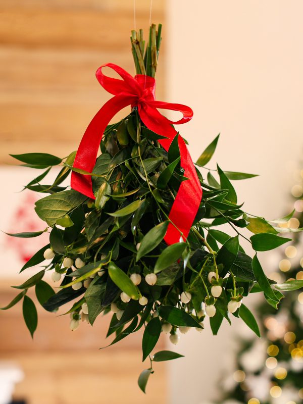 TIS VFN zažil rekordní rok!