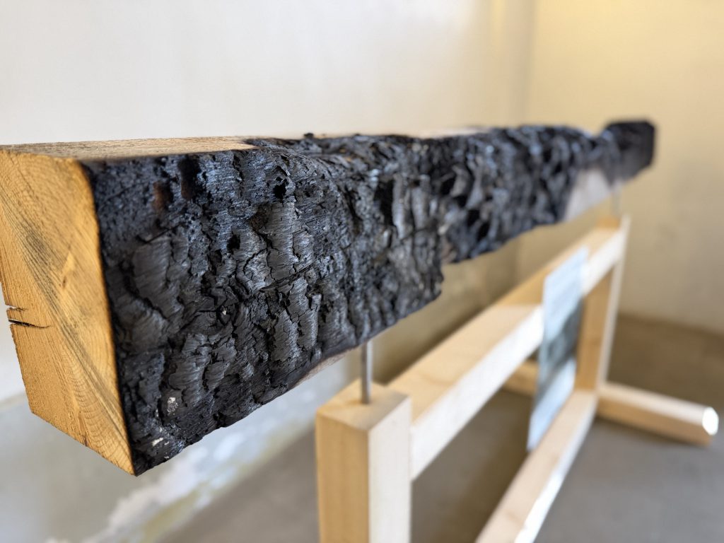 Nová umělecká instalace ve VFN připomíná hrůzy 2. světové války