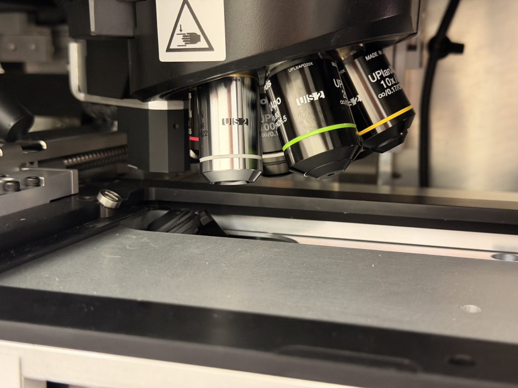 Ukázka, jak se tradiční obor, založený po desetiletí na práci s mikroskopem, dynamicky rozvíjí a propojuje s informatikou, AI a moderními technologiemi