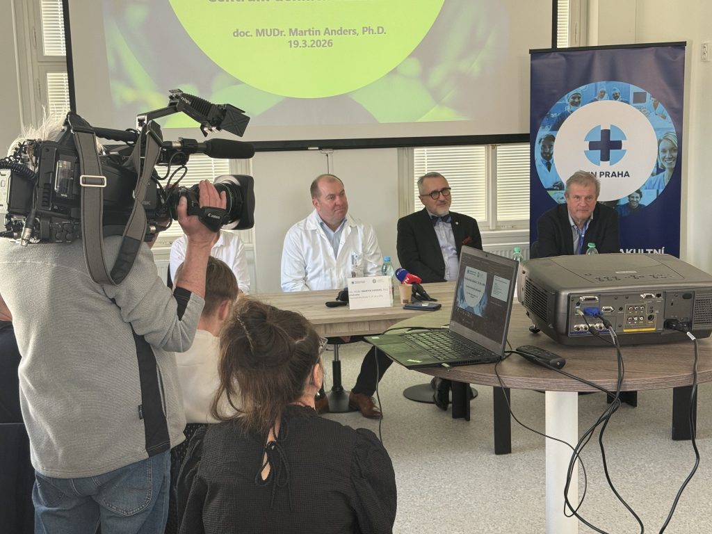 Centrum denních stacionářů: Komplexní péče o duševně nemocné