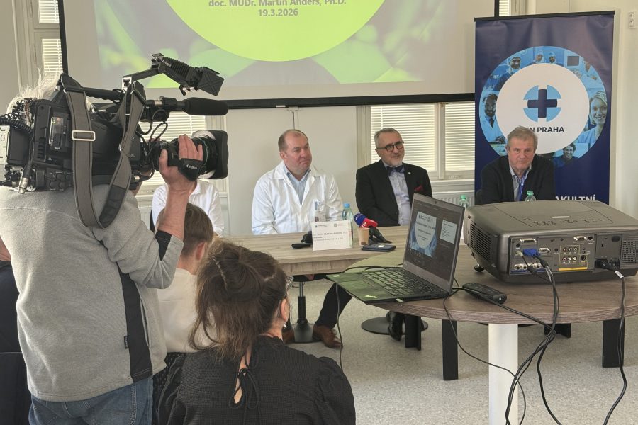 Centrum denních stacionářů: Komplexní péče o duševně nemocné