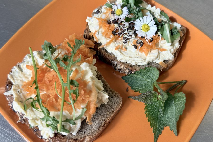 Recept z kuchyně VFN