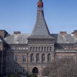 Kočky u Apolináře: hledáme klidné a rozumné řešení